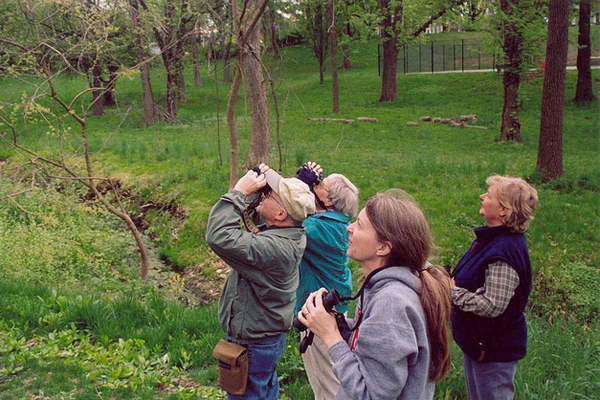 O birdwatch comeou como uma atividade a mais na viagem de frias