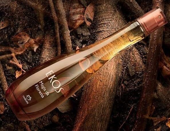 Novo perfume inspirado na n�voa perfumada que evapora da floresta amaz�nica 