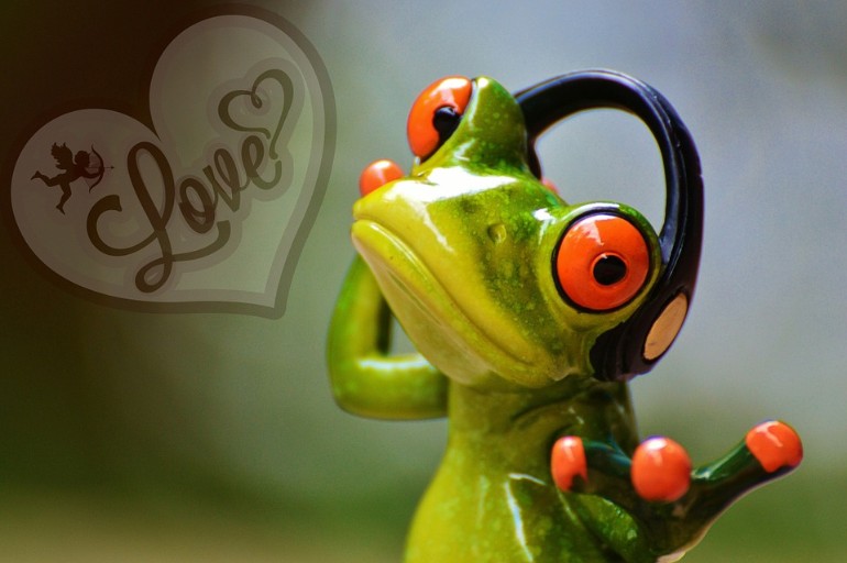 Sapo com headphone