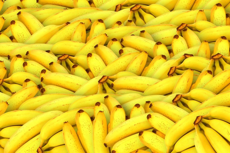 Gastronomia