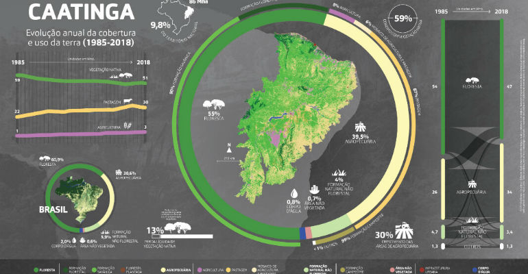 O MapBiomas envolveuniversidades,ONGseempresas de tecnologia