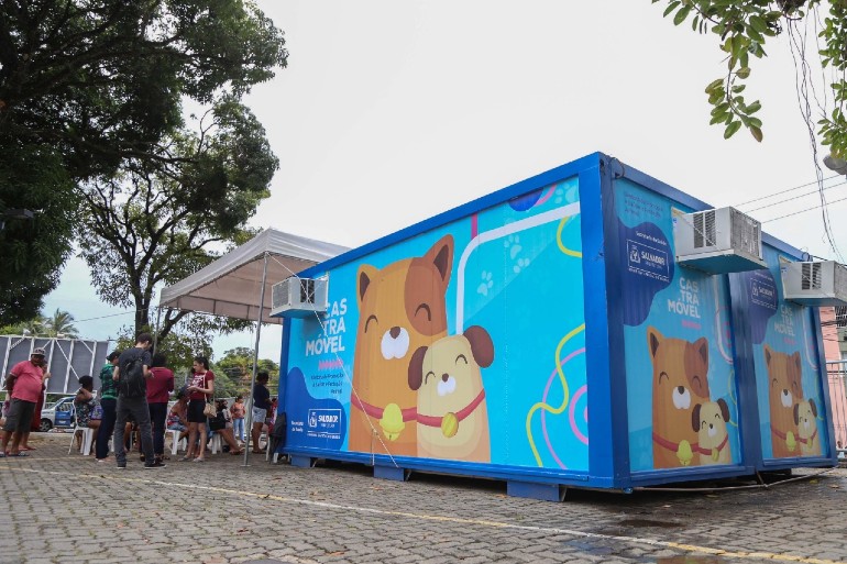 animais