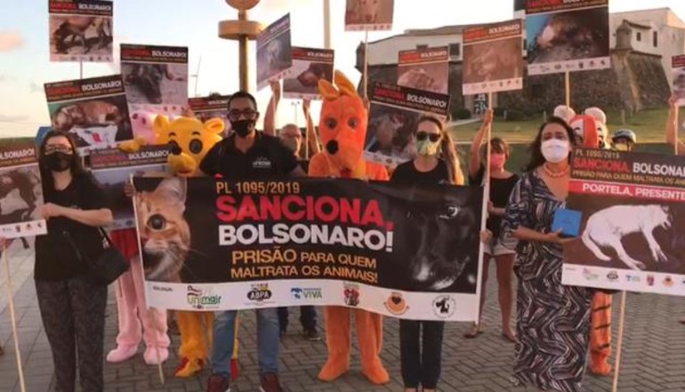 Seu Pet