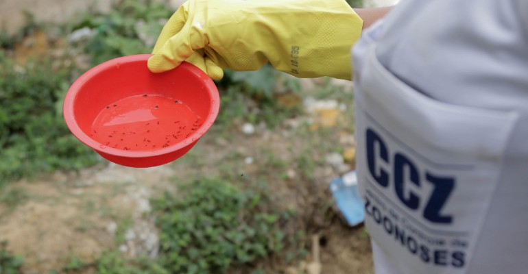 Combate casos de dengue, zika e chikungunya em Salvador