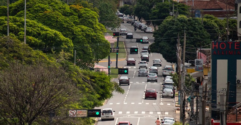 A cidade brasileira de Campo Grande foi reconhecida no programa Cidades de rvores do Mundo