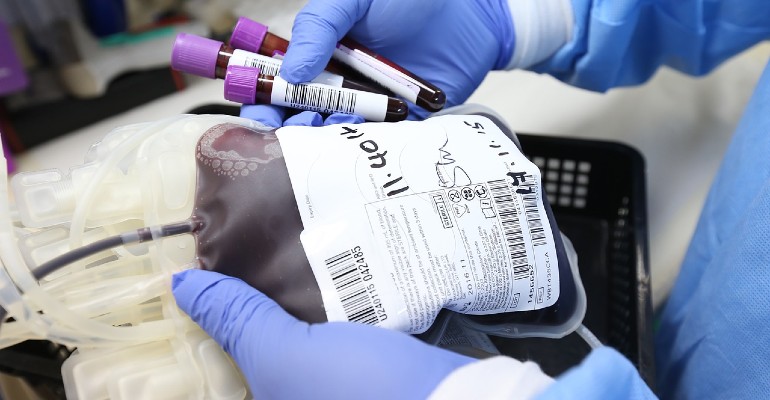 Para doar sangue  necessrio ter entre 16 e 69 anos