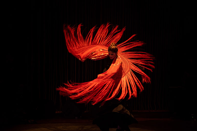 Dança: Ale Kalaf mostra o flamenco