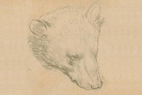 Pequeno desenho de Da Vinci foi leiloada nesta quinta-feira, mas no bateu recorde 