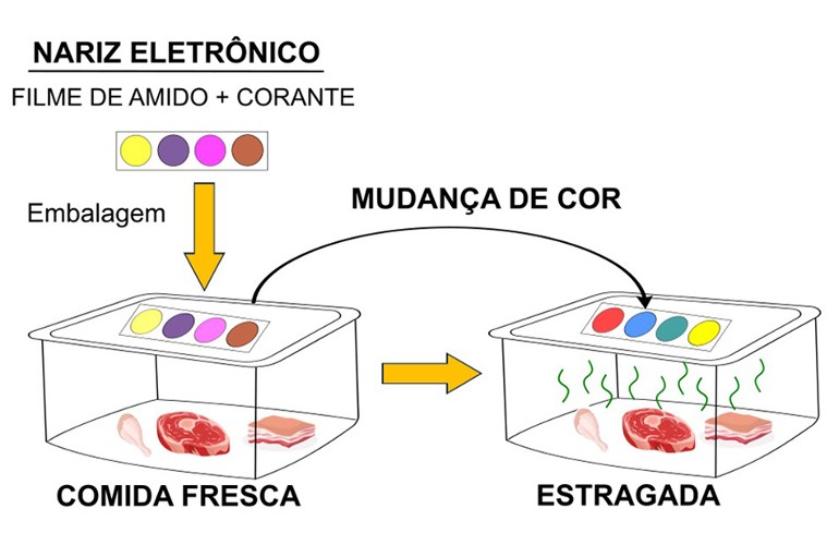 A mudança de cor indica problema com os alimentos