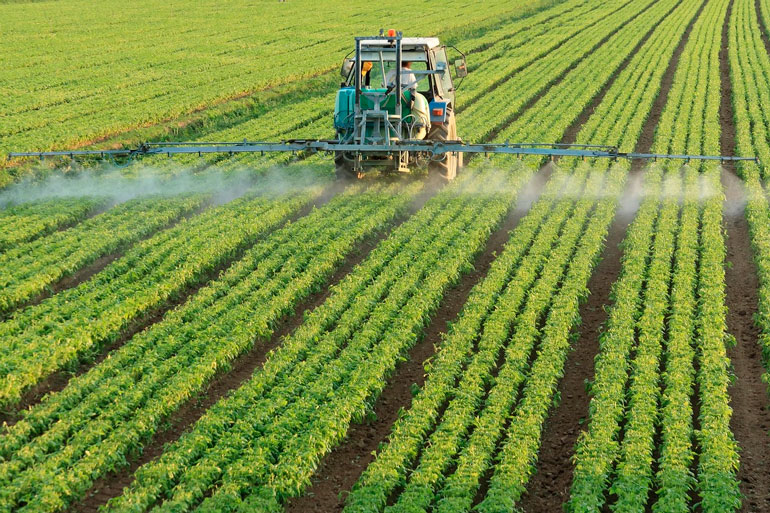 O agro é, ainda, o motor do crescimento econômico brasileiro
