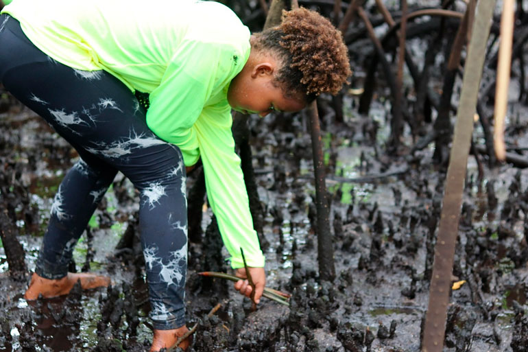 As crianças participam de oficinas lúdicas, trilhas ecológicas, plantio de mudas nativas e limpeza de áreas degradadas