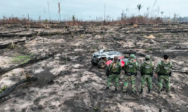 Área queimada na Amazônia