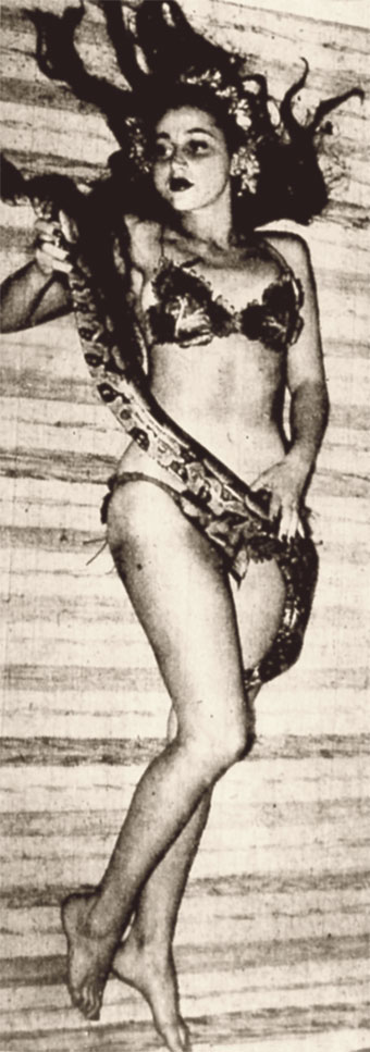 Luz del Fuego