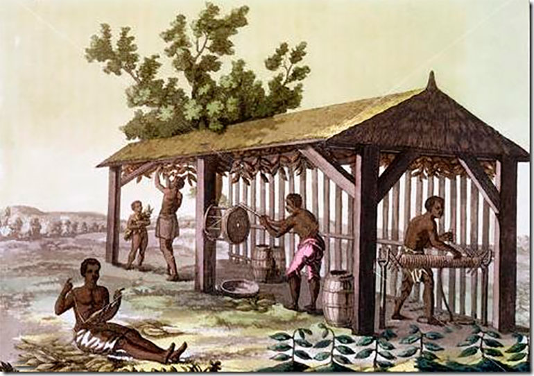 escravos em fazenda de tabaco