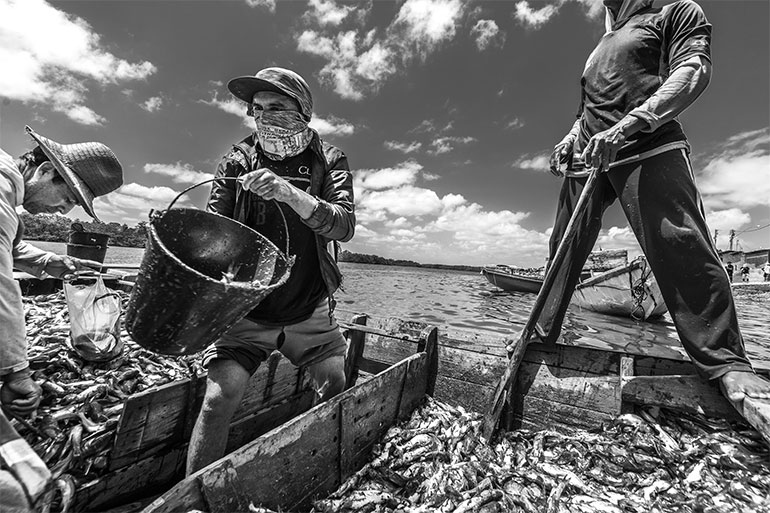 Pesca Artesanal é Tema De Exposição 4637