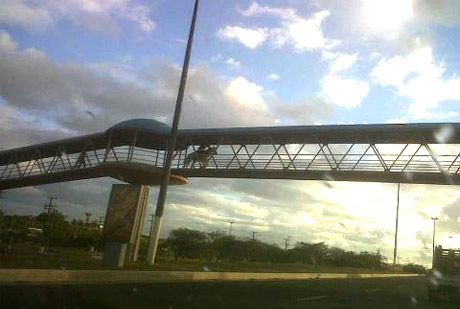Morador atravessa passarela a cavalo